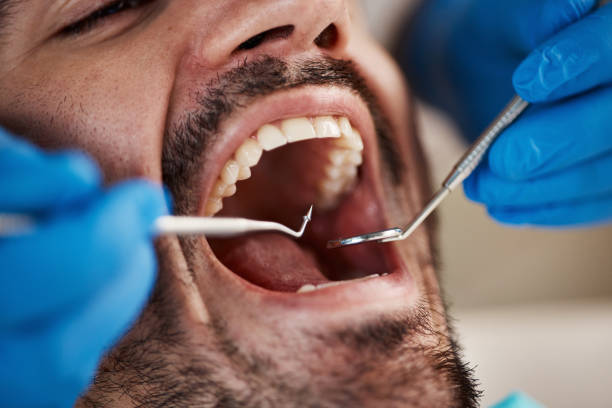 Best Pediatric Emergency Dentist in Williamsburg, FL